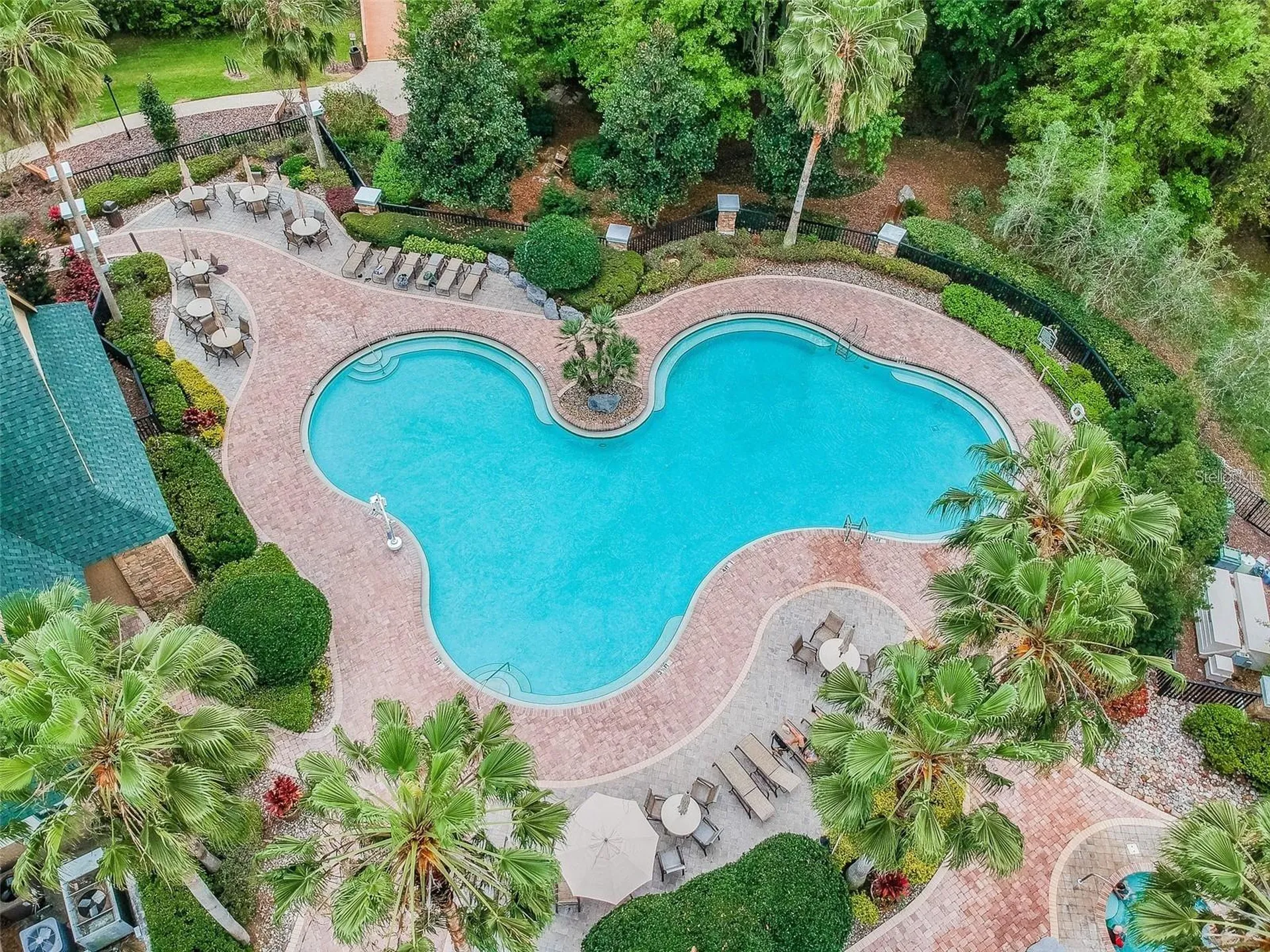 7655 Citrus Blossom Drive Land O Lakes FL 34637