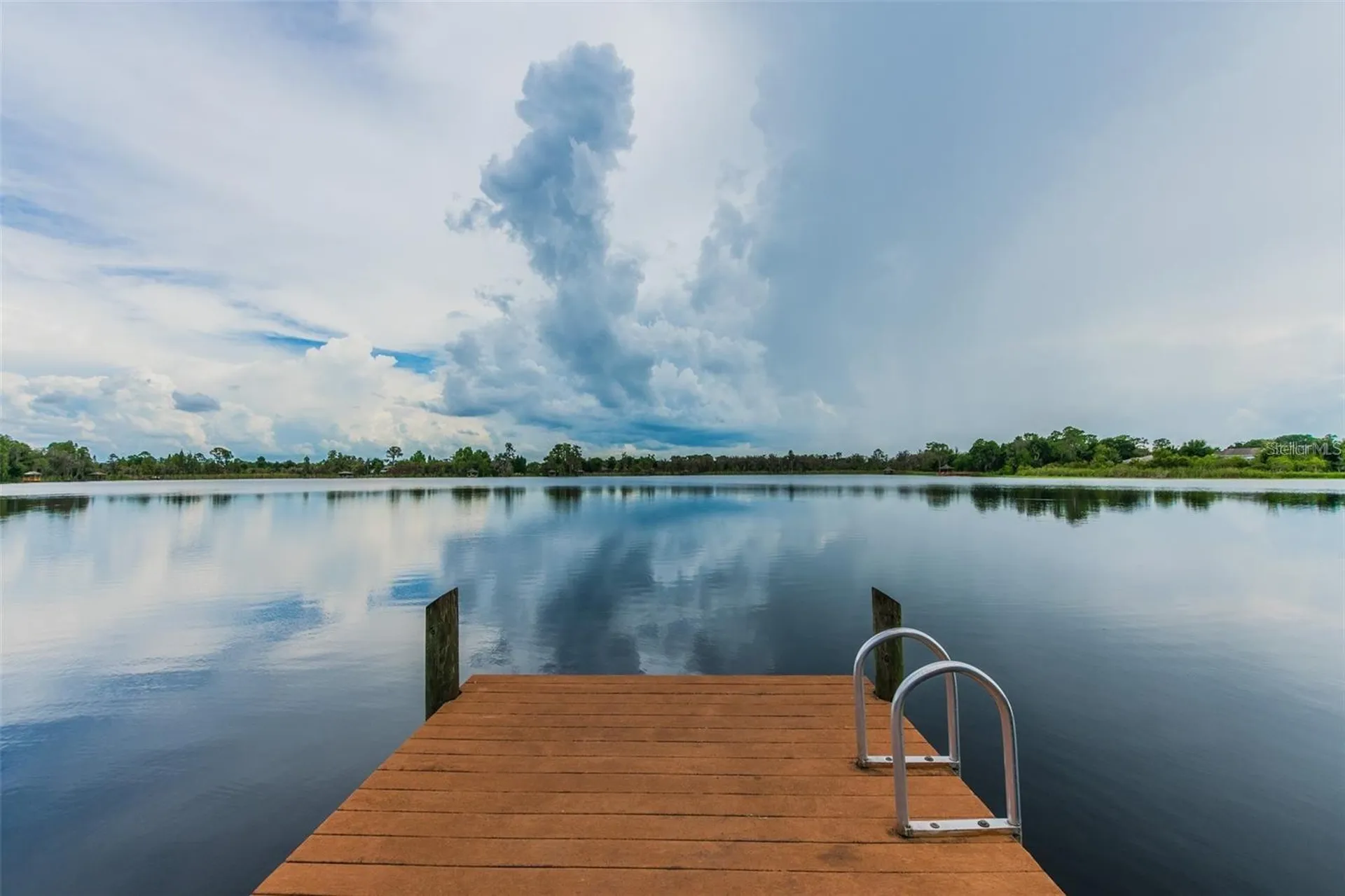 7655 Citrus Blossom Drive Land O Lakes FL 34637