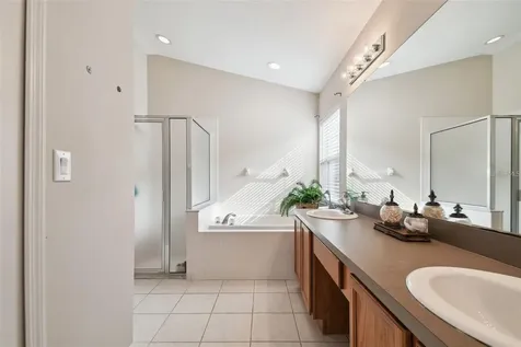 7655 Citrus Blossom Drive Land O Lakes FL 34637