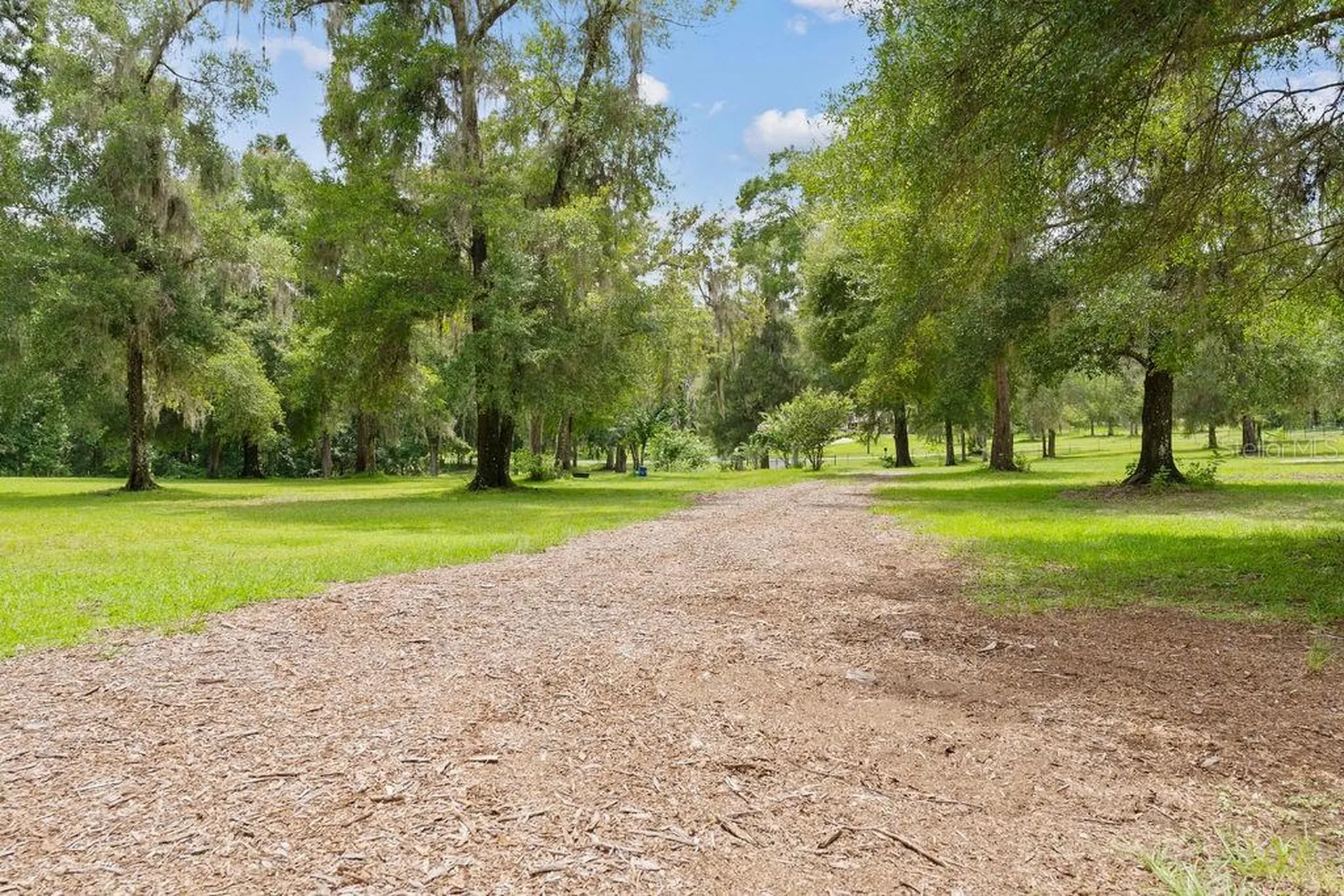 13003 S Betty Point Floral City FL 34436