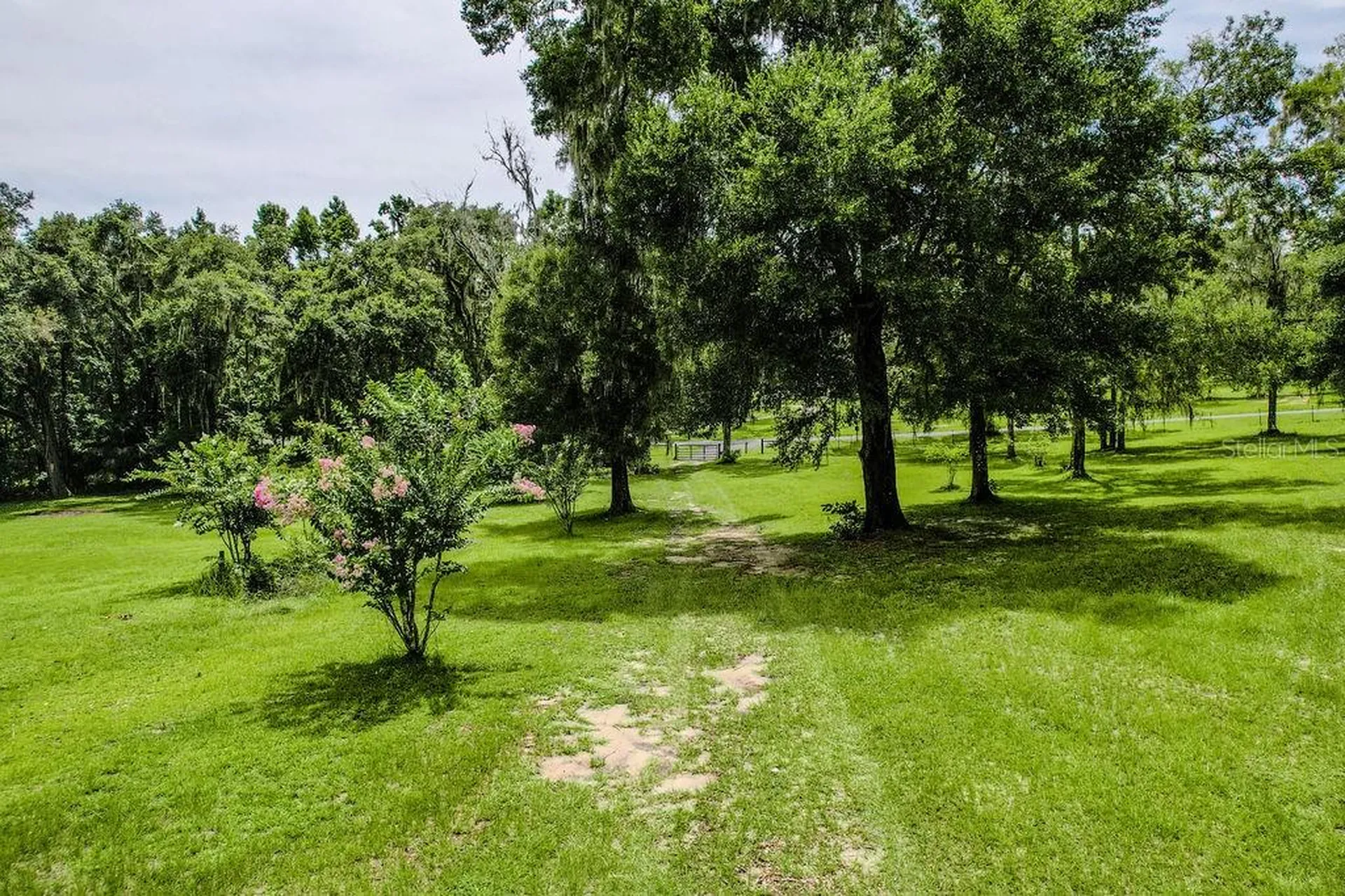 13003 S Betty Point Floral City FL 34436