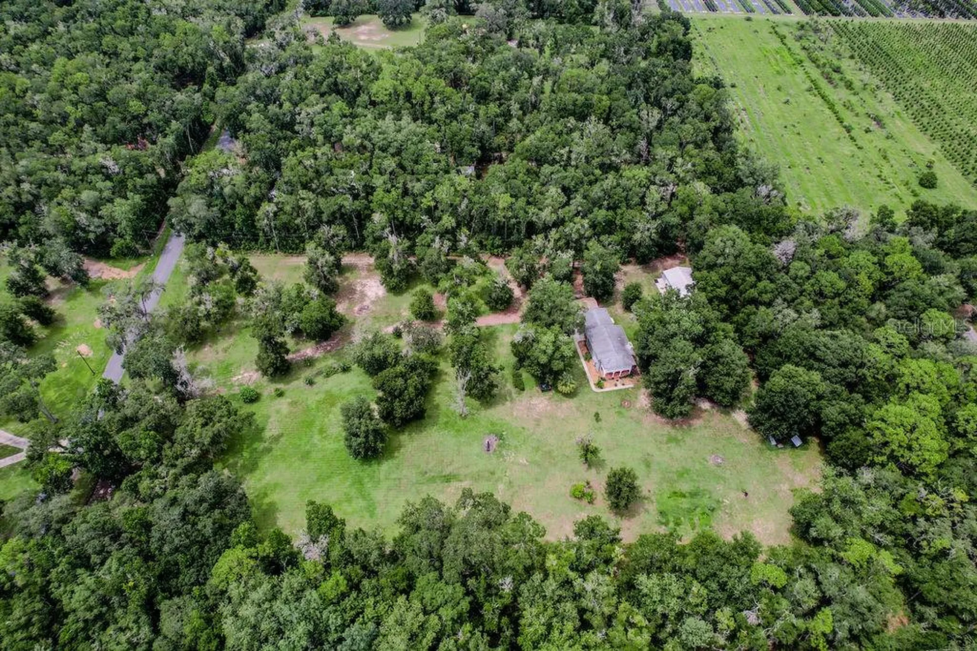 13003 S Betty Point Floral City FL 34436