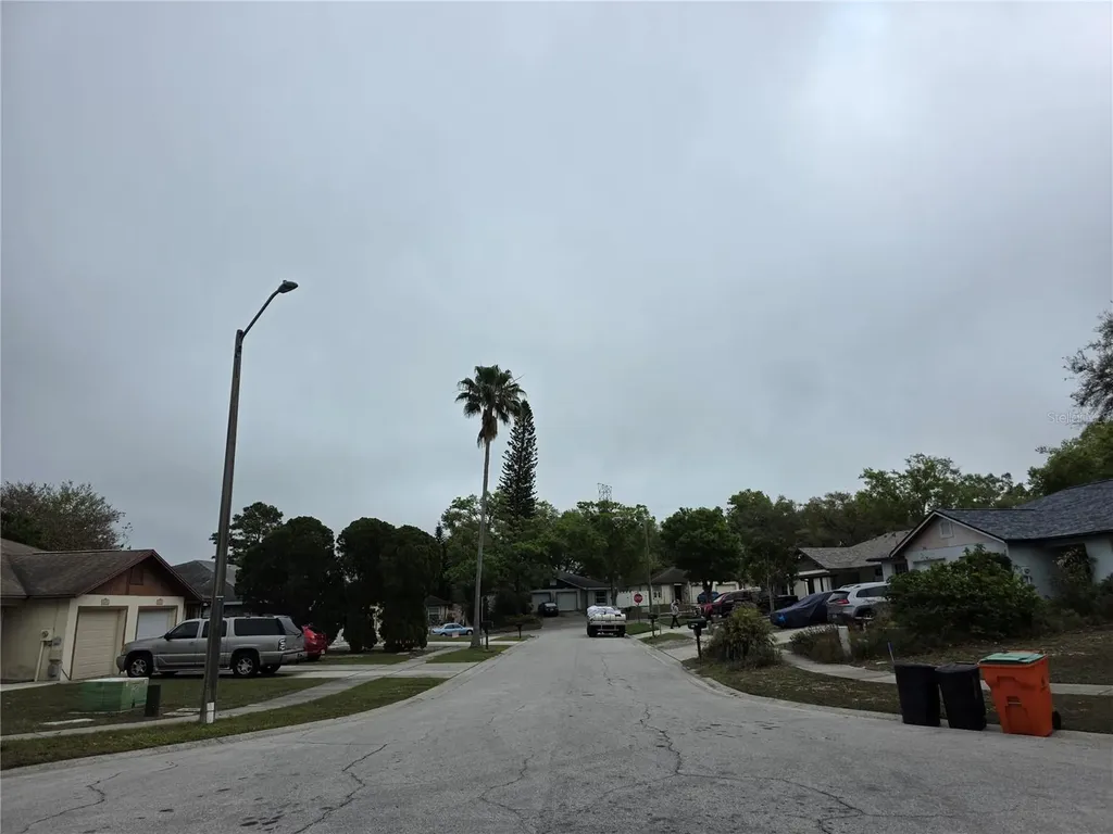 2674 Macklin Court Palm Harbor FL 34684