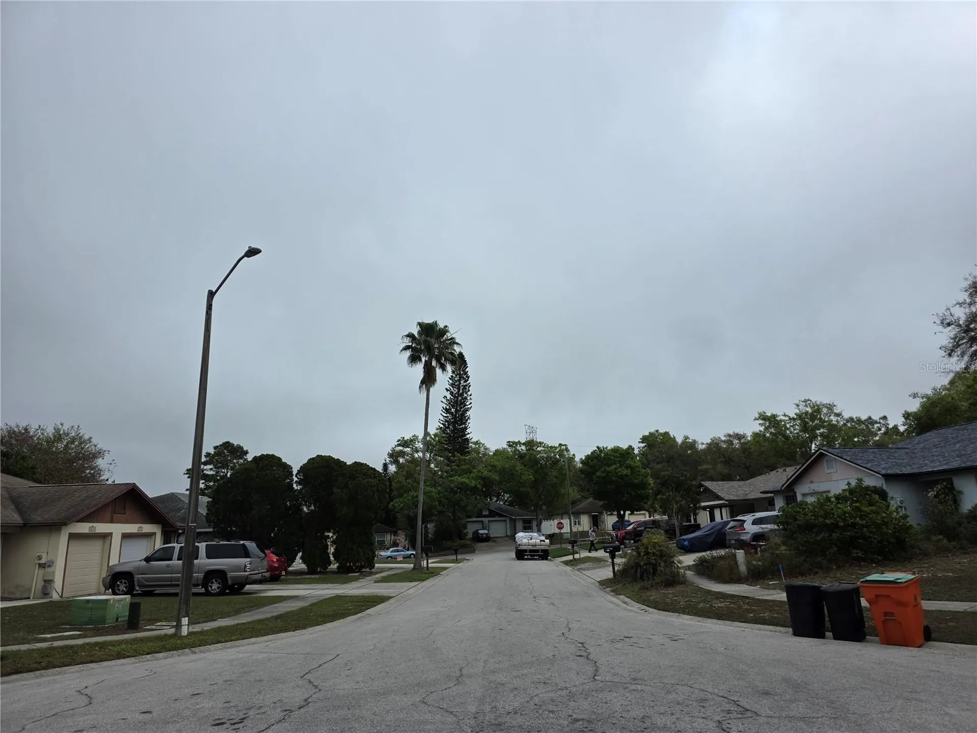 2674 Macklin Court Palm Harbor FL 34684