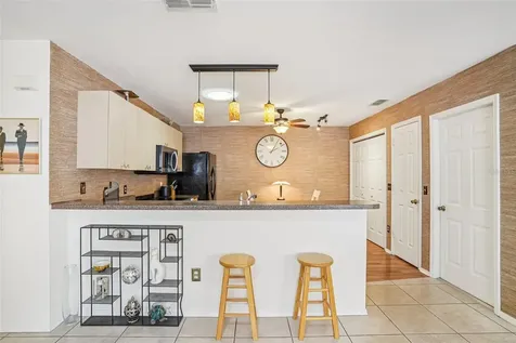 456 Hildalgo Drive The Villages FL 32159