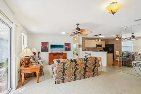 456 Hildalgo Drive The Villages FL 32159