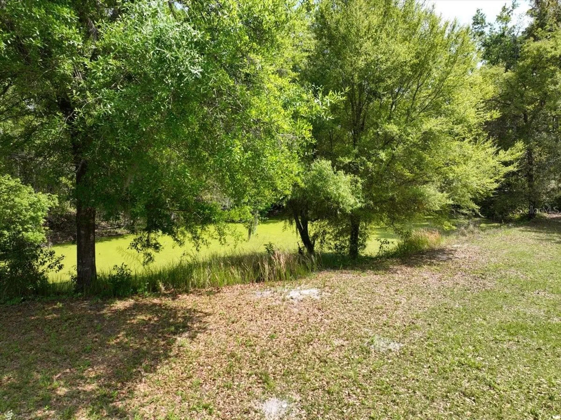 1415 N Wabash Avenue Lakeland FL 33805