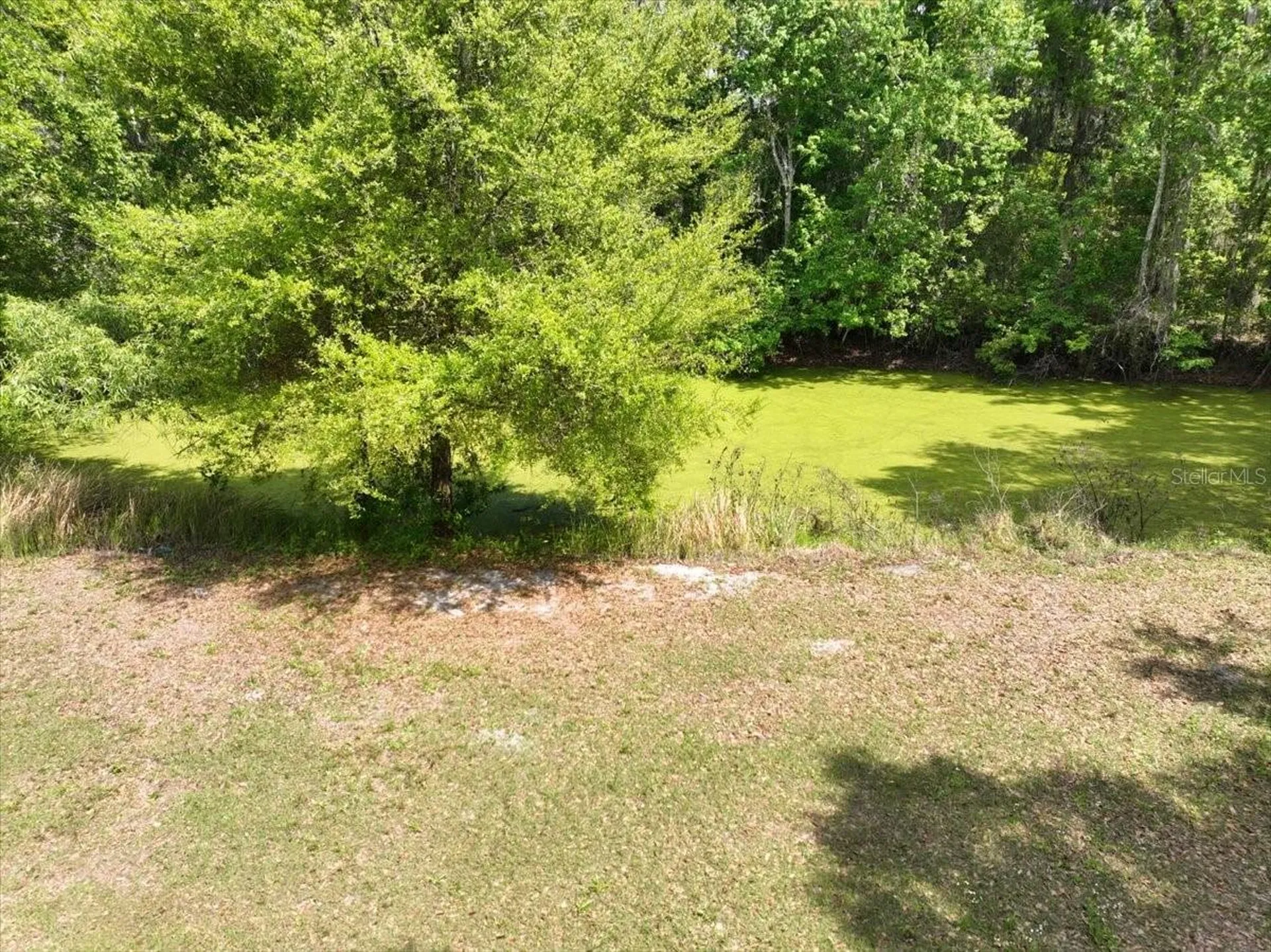 1415 N Wabash Avenue Lakeland FL 33805