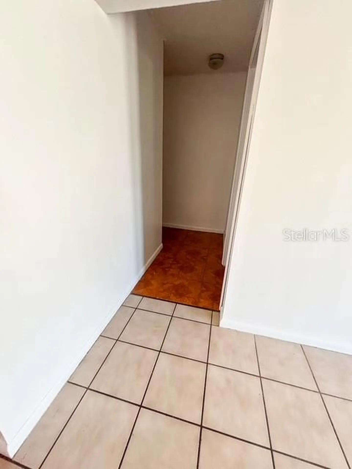 12422 Cardiff Drive Tampa FL 33625