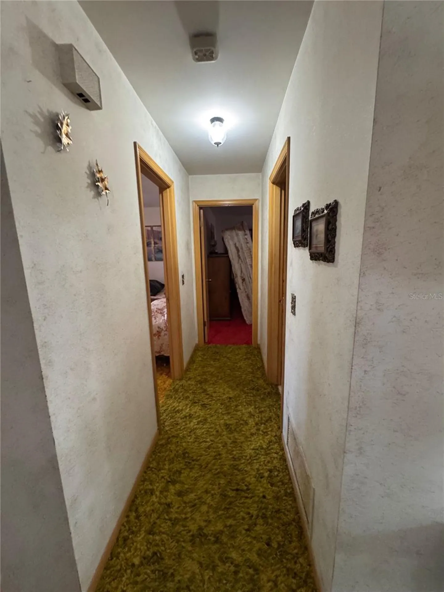 13147 Suburban Terrace Winter Garden FL 34787