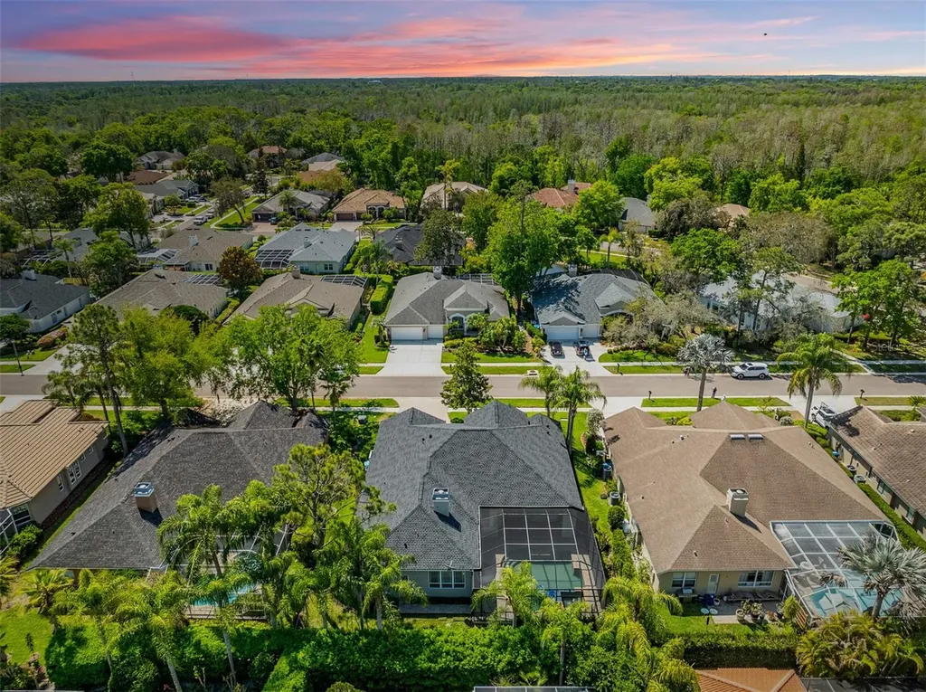 2867 Deer Run Tarpon Springs FL 34688