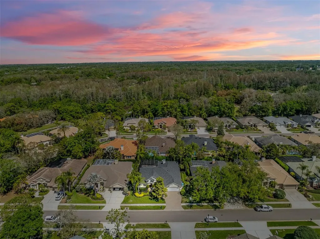 2867 Deer Run Tarpon Springs FL 34688