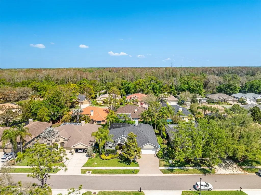 2867 Deer Run Tarpon Springs FL 34688
