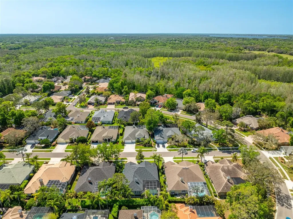 2867 Deer Run Tarpon Springs FL 34688