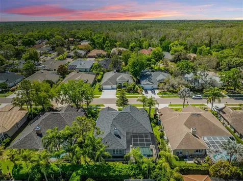 2867 Deer Run Tarpon Springs FL 34688