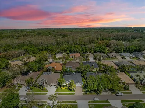2867 Deer Run Tarpon Springs FL 34688
