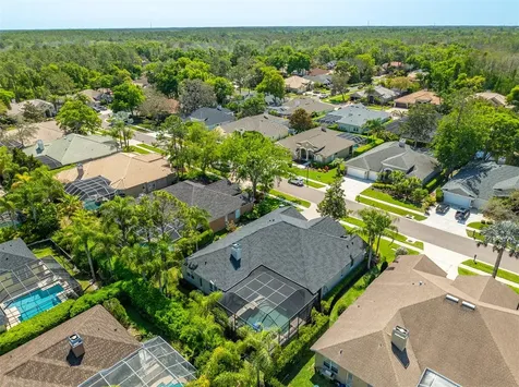 2867 Deer Run Tarpon Springs FL 34688