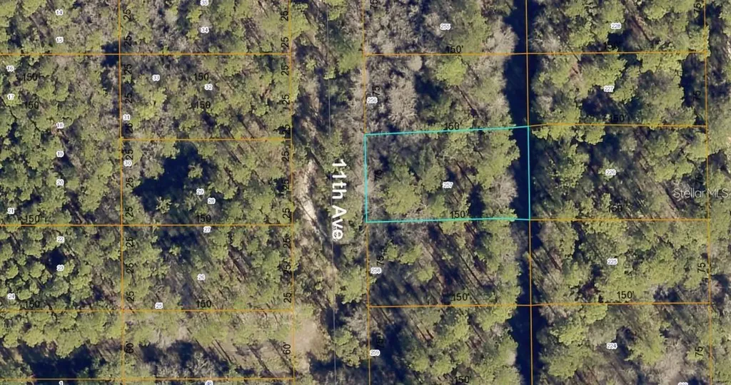 Lot 257 11th Avenue Deland FL 32724