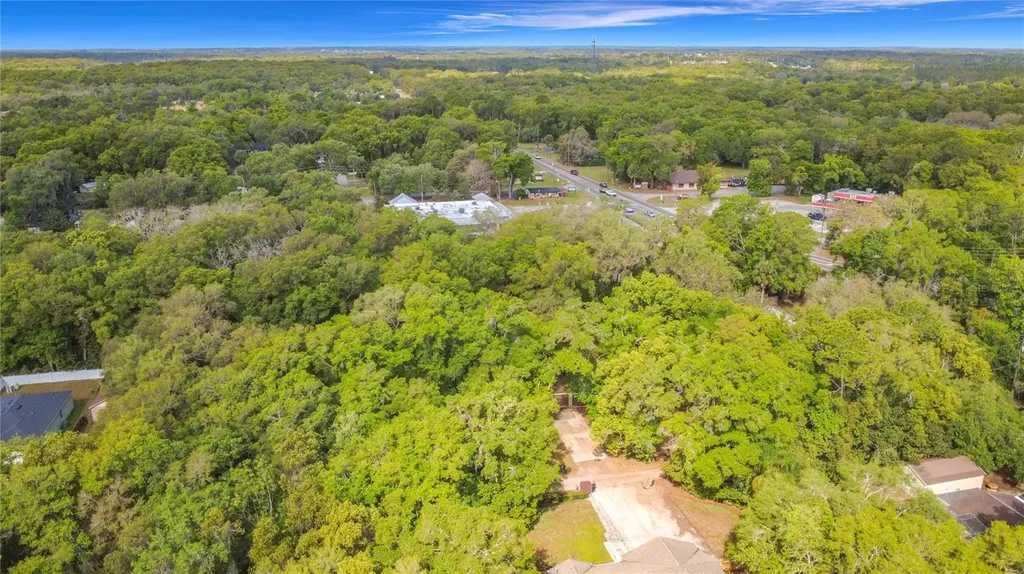 31427 Ghent Avenue Mount Plymouth FL 32776