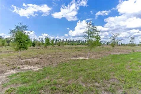 SE 170th Avenue Weirsdale FL 32195