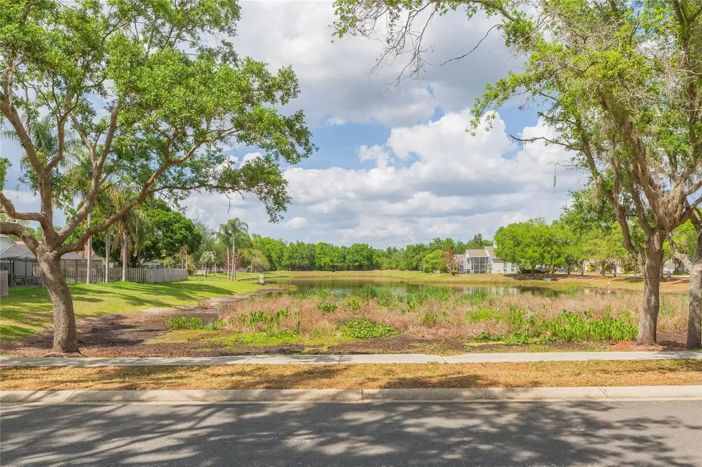 9313 Rockrose Drive Tampa FL 33647