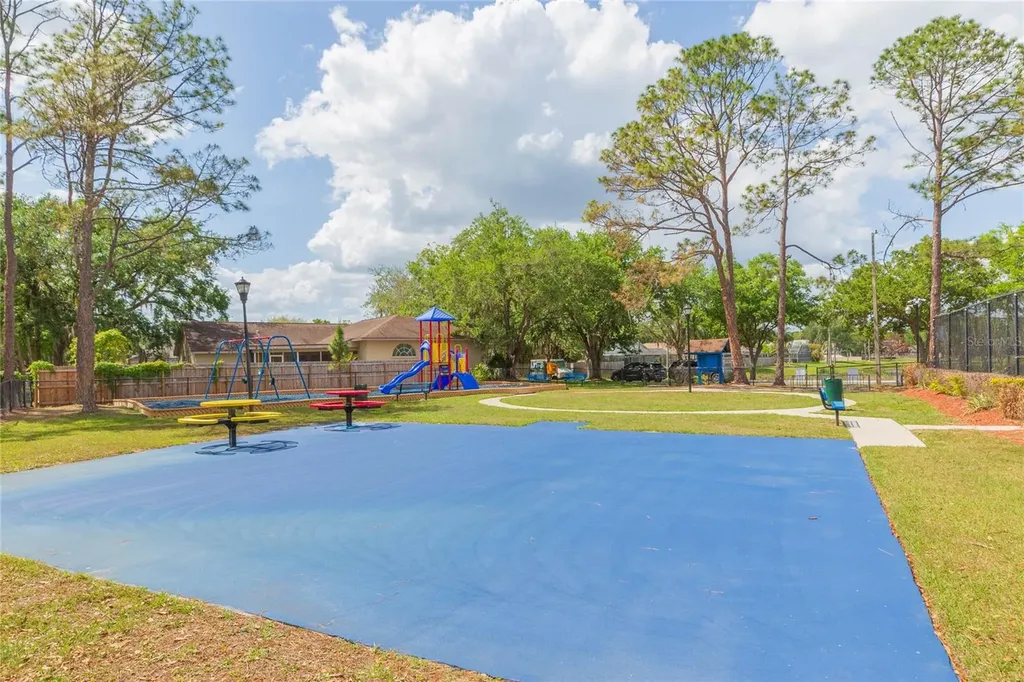 9313 Rockrose Drive Tampa FL 33647