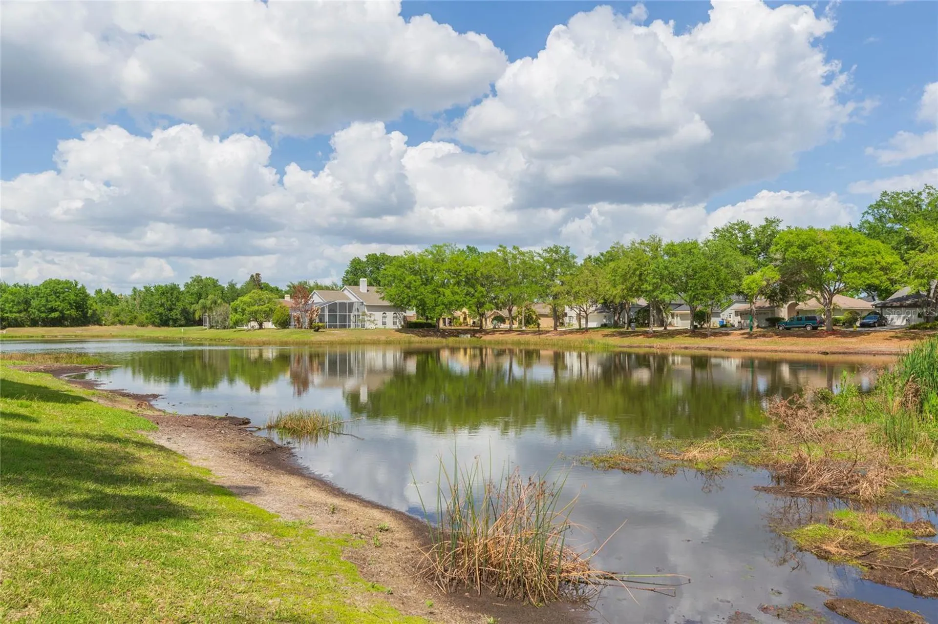 9313 Rockrose Drive Tampa FL 33647
