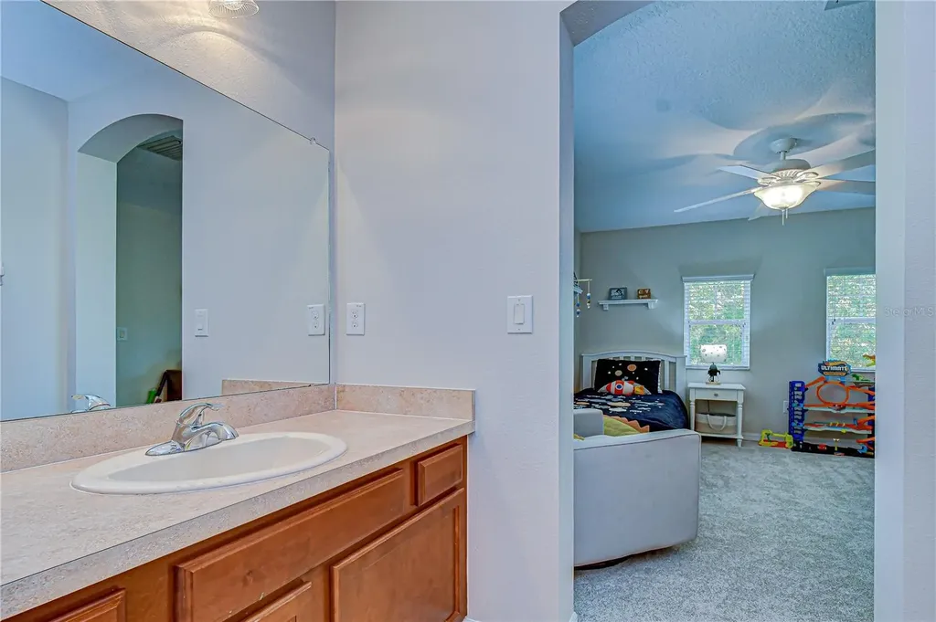 15827 Starling Water Drive Lithia FL 33547
