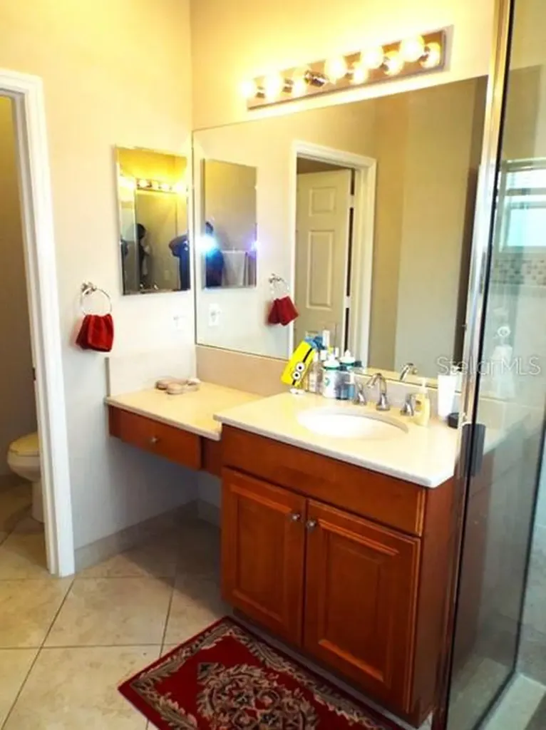15628 Aurora Lake Circle Wimauma FL 33598
