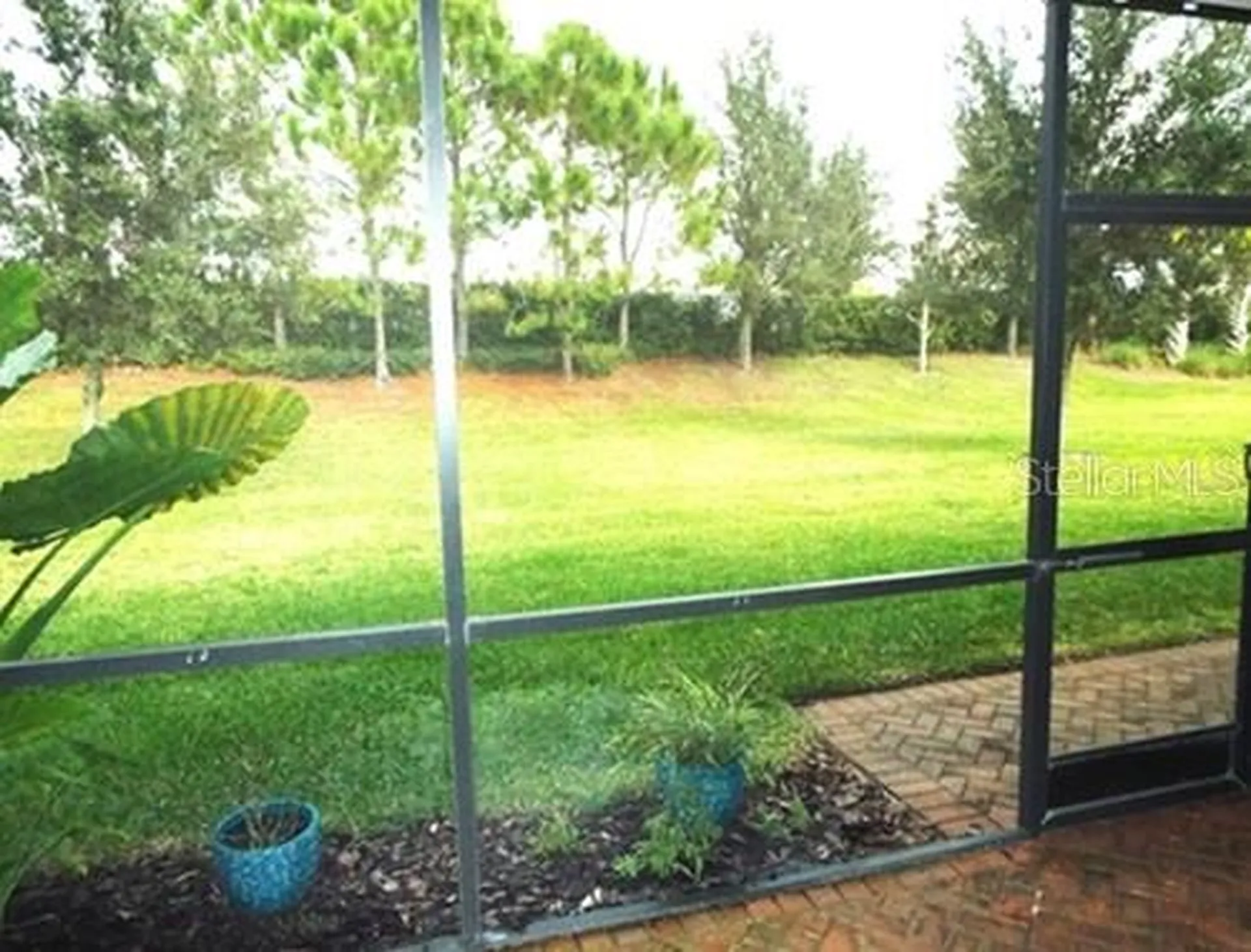15628 Aurora Lake Circle Wimauma FL 33598