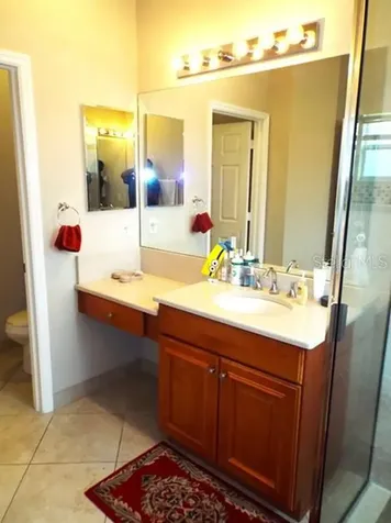 15628 Aurora Lake Circle Wimauma FL 33598