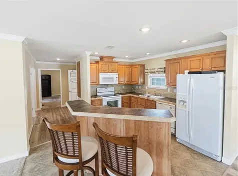 17 Seminole Path Wildwood FL 34785