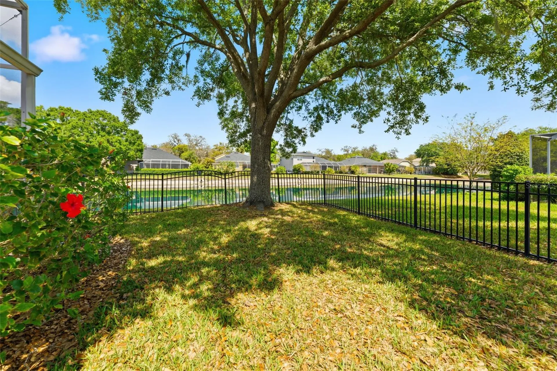 5925 Jefferson Park Drive Tampa FL 33625