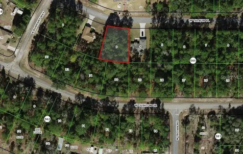 3386 W Talinum Place Citrus Springs FL 34433