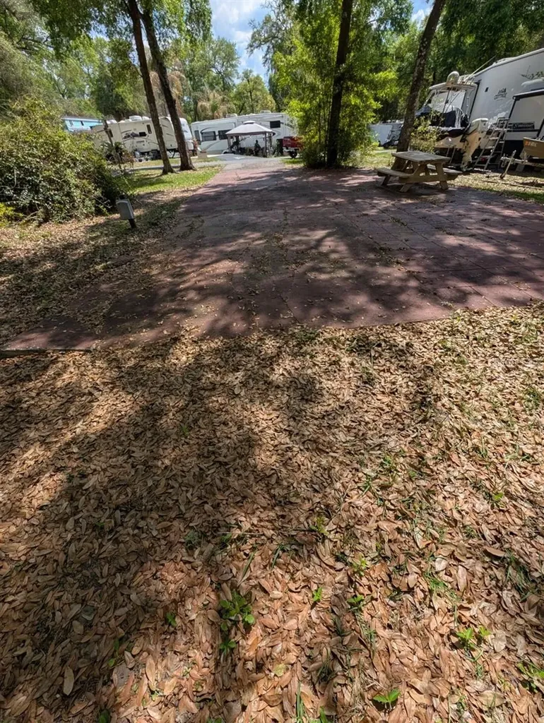 25215 NE 142nd Street Salt Springs FL 32134