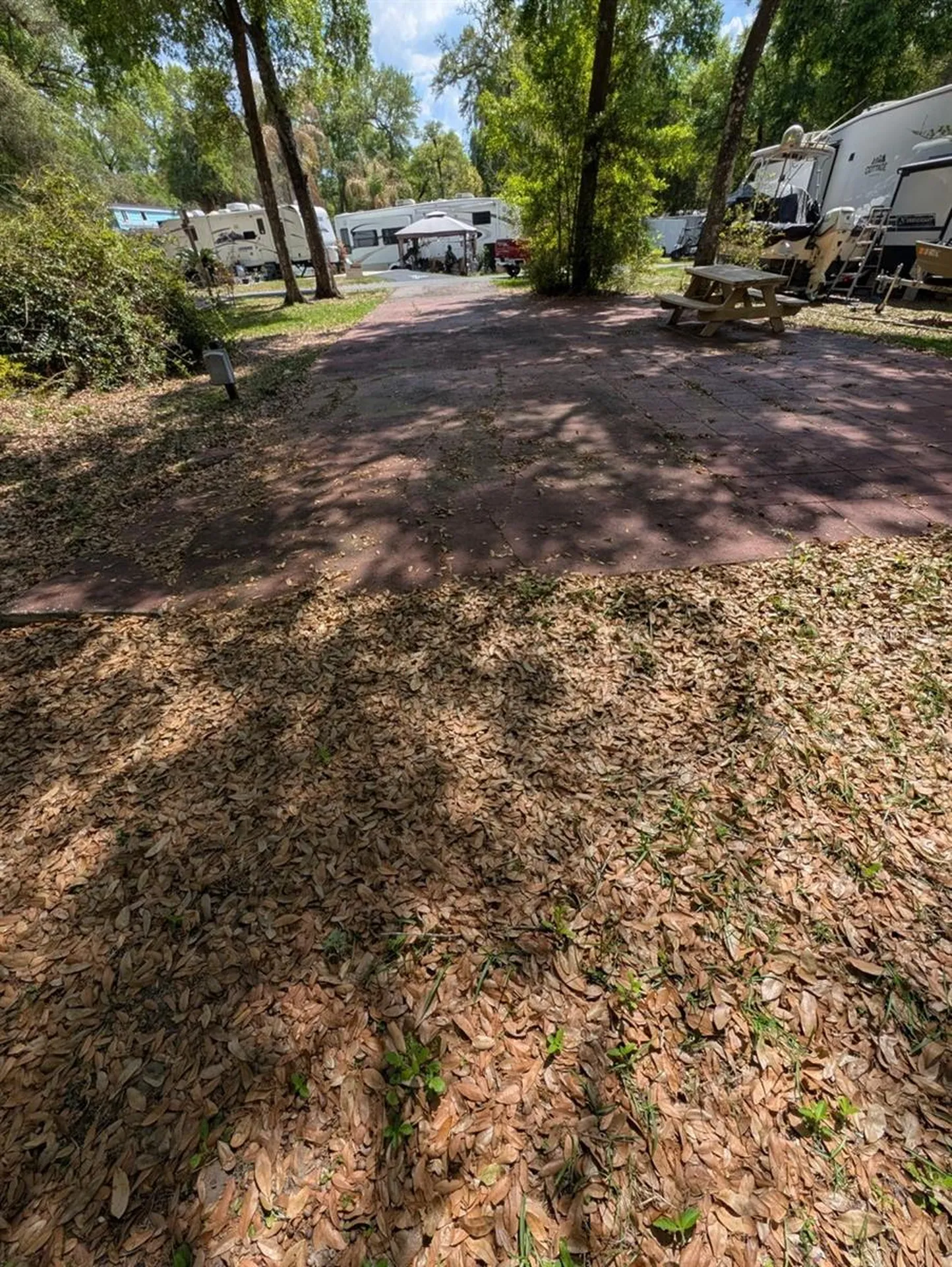 25215 NE 142nd Street Salt Springs FL 32134