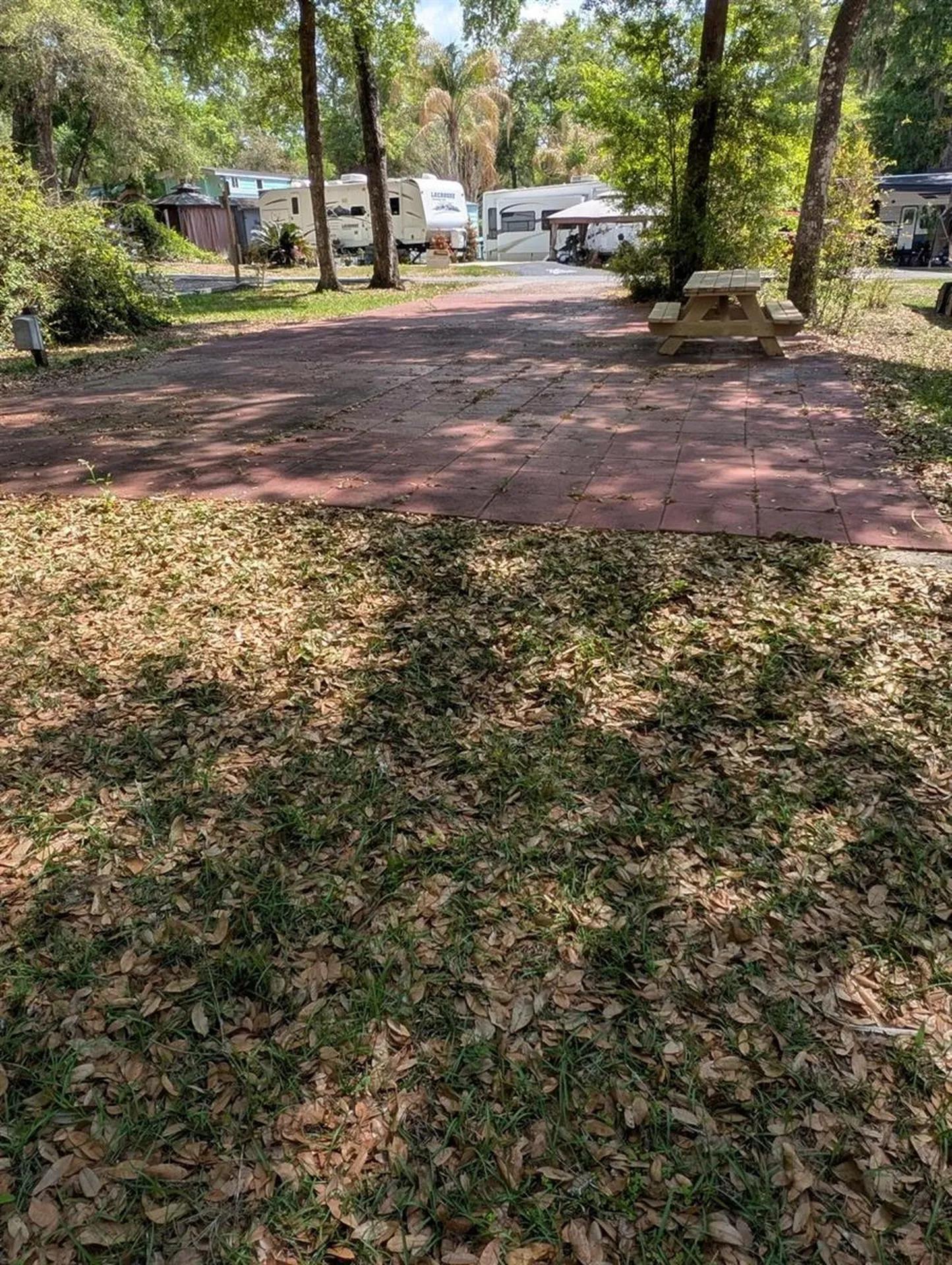 25215 NE 142nd Street Salt Springs FL 32134
