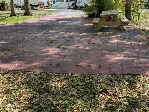 25215 NE 142nd Street Salt Springs FL 32134
