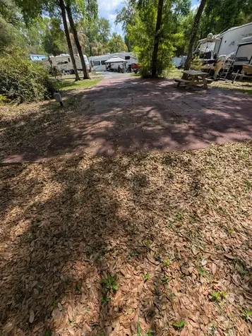 25215 NE 142nd Street Salt Springs FL 32134