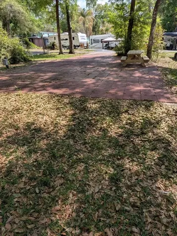 25215 NE 142nd Street Salt Springs FL 32134