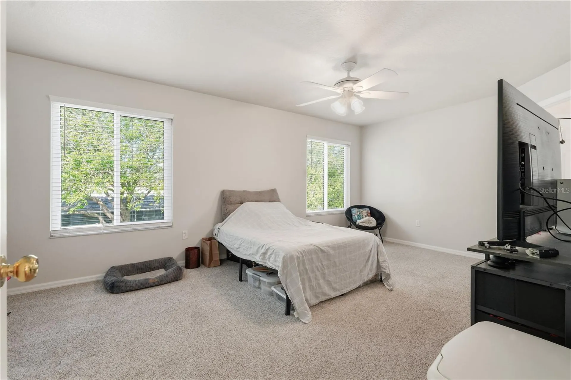 1734 Mapleleaf Boulevard Oldsmar FL 34677