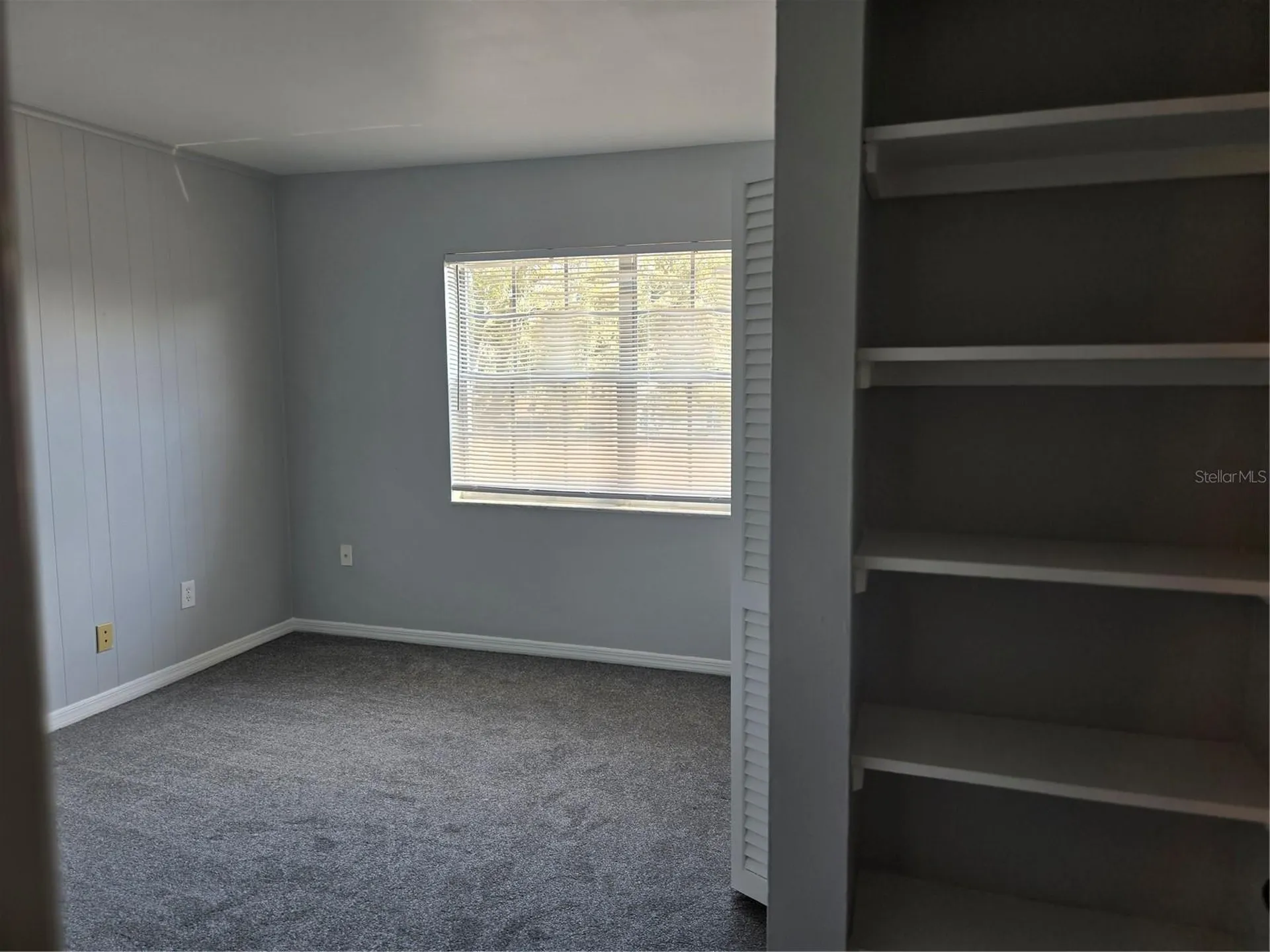 10342 Carrollwood Lane Tampa FL 33618