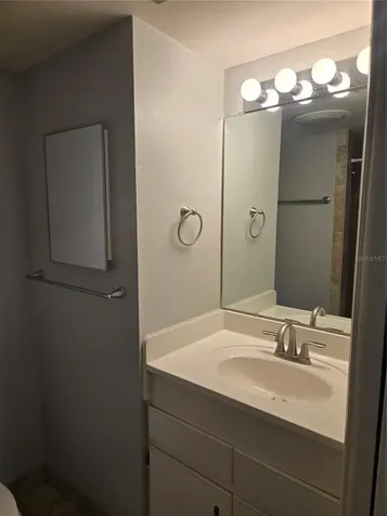 10342 Carrollwood Lane Tampa FL 33618