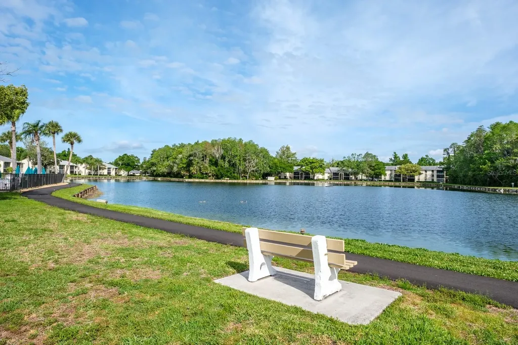 3166 Lake Pine Way S Tarpon Springs FL 34688