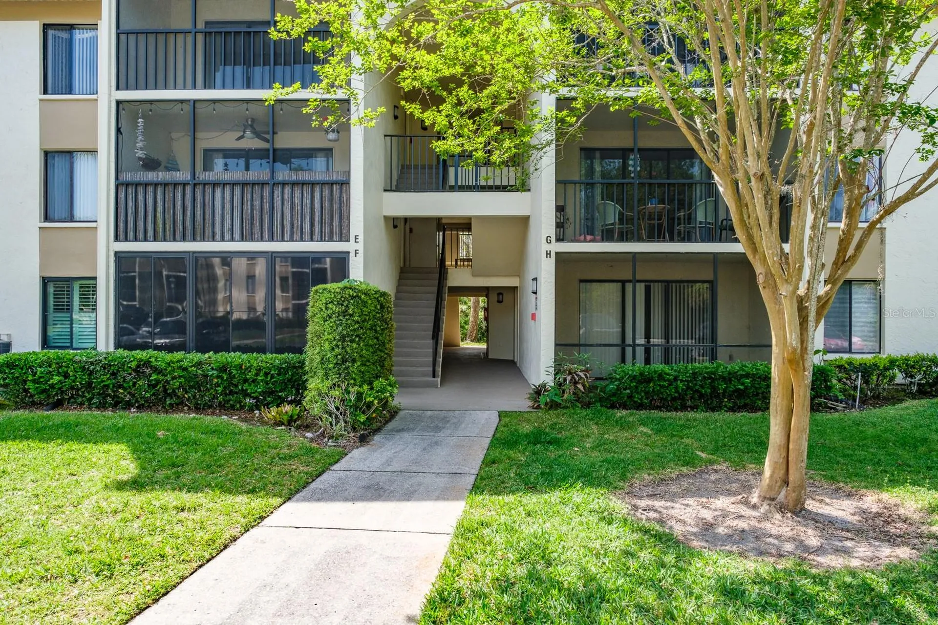 3166 Lake Pine Way S Tarpon Springs FL 34688