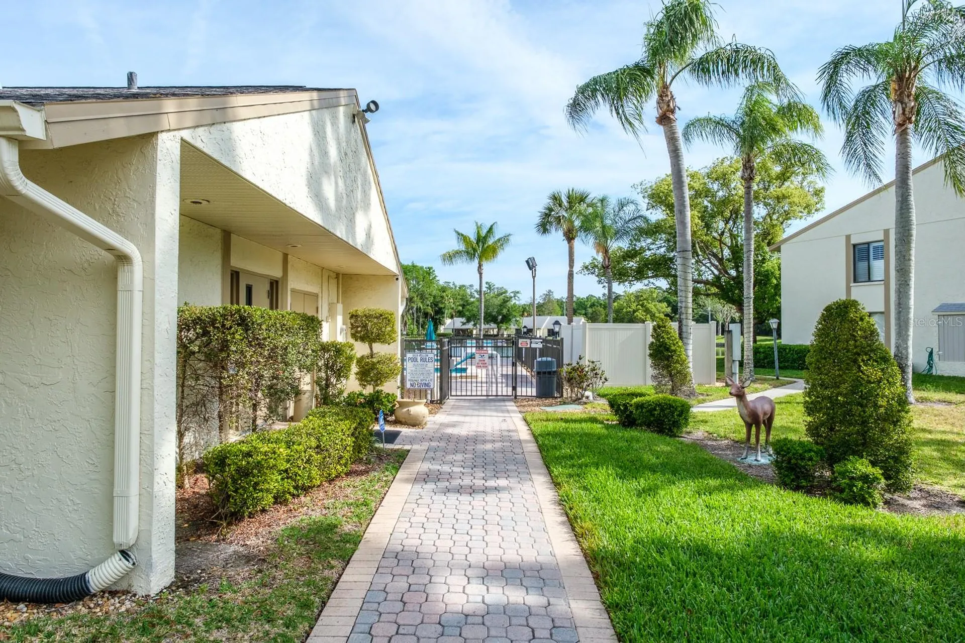 3166 Lake Pine Way S Tarpon Springs FL 34688