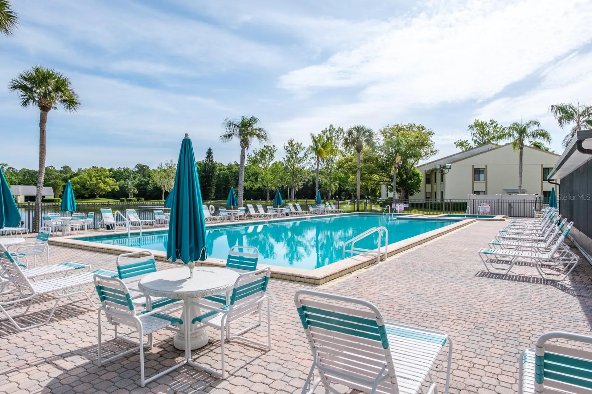 3166 Lake Pine Way S Tarpon Springs FL 34688