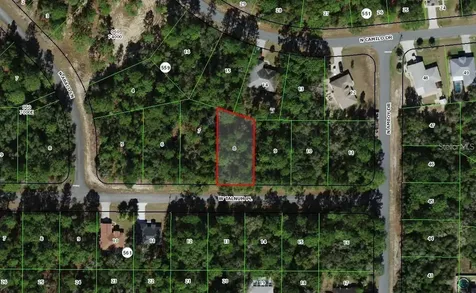 3231 W Talinum Place Citrus Springs FL 34433