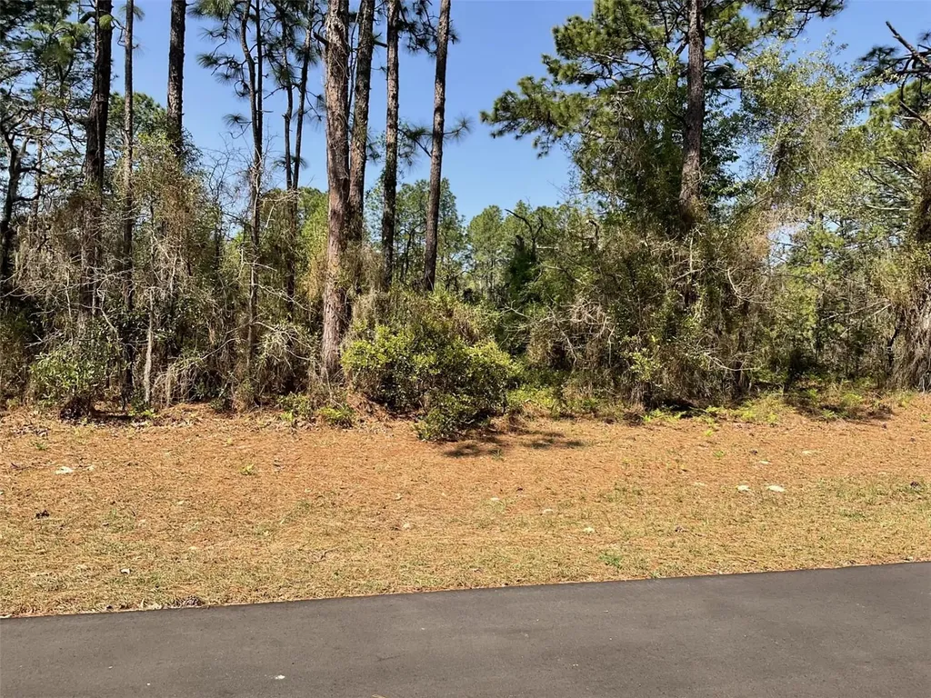 Undetermined Dunnellon FL 34432