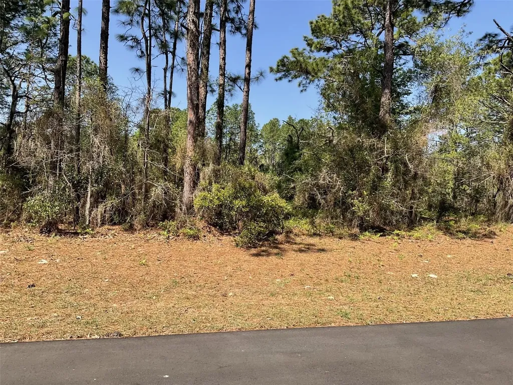 Undetermined Dunnellon FL 34432